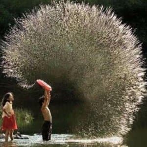 Havva Ç. profil fotoğrafı