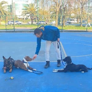 İbrahim Ö. profil fotoğrafı