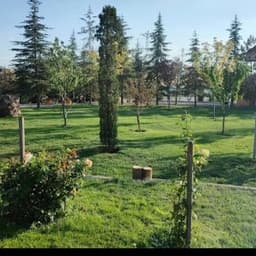 Sümer B. profil fotoğrafı
