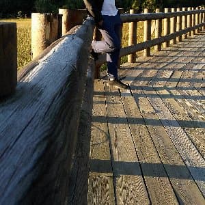 İbrahim T. profil fotoğrafı