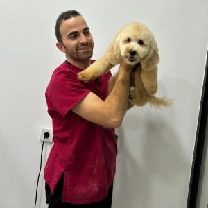 İsmail Y. profil fotoğrafı