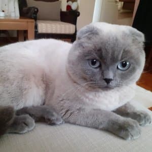 Kader A. profil fotoğrafı