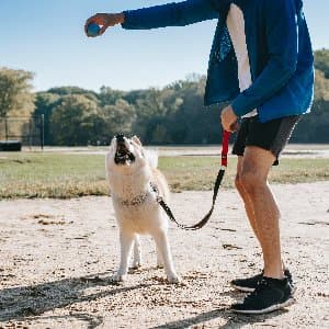 Köpek E. profil fotoğrafı