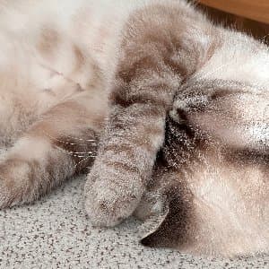 Kübra E. profil fotoğrafı