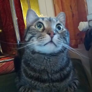 Mehmet K. profil fotoğrafı