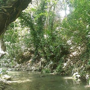 Melek Ç. profil fotoğrafı