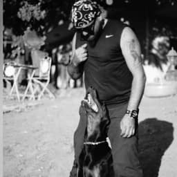 Mert S. profil fotoğrafı