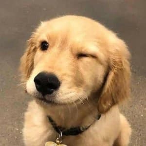 Merve B. profil fotoğrafı
