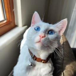 Merve T. profil fotoğrafı