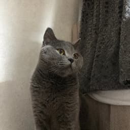 Mina G. profil fotoğrafı