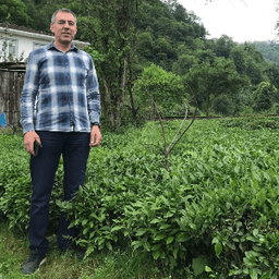 Murat C. profil fotoğrafı