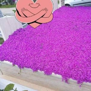 Musa Ü. profil fotoğrafı