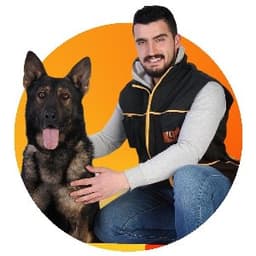 Mustafa C. profil fotoğrafı