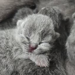 Mustafa Ü. profil fotoğrafı