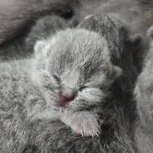 Mustafa Ü. profil fotoğrafı