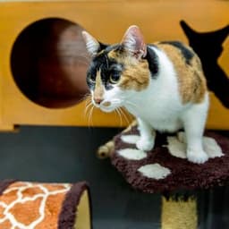 Mutlu O. profil fotoğrafı