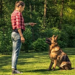 Oscar C. profil fotoğrafı