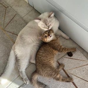 Ali K. profil fotoğrafı