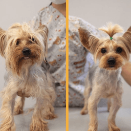 Petzz K. profil fotoğrafı