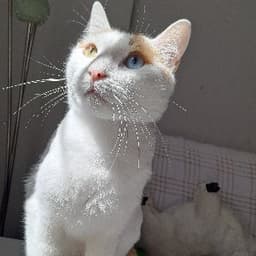 Aslıhan Y. profil fotoğrafı