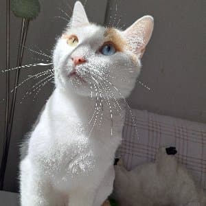 Aslıhan Y. profil fotoğrafı
