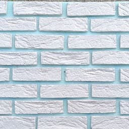 Runa D. profil fotoğrafı