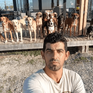 Sedat A. profil fotoğrafı
