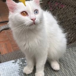 Selda O. profil fotoğrafı