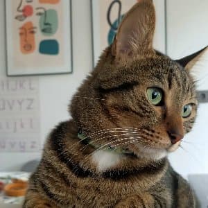 Cansu Ç. profil fotoğrafı