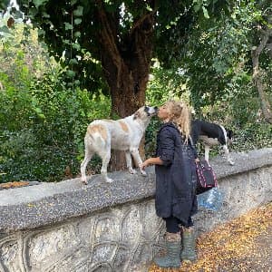 Sevgi K. profil fotoğrafı