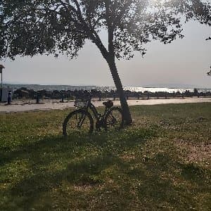 Sevgi Ö. profil fotoğrafı