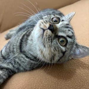Seyfi B. profil fotoğrafı
