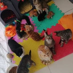 Şeyma Ö. profil fotoğrafı