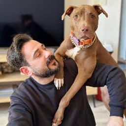 Şiar H. profil fotoğrafı