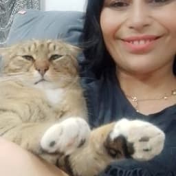 Sibel I. profil fotoğrafı
