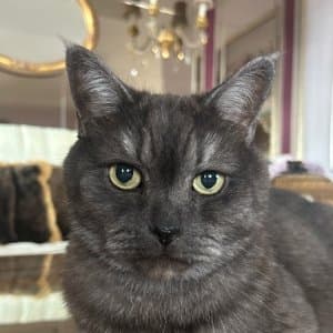 Su K. profil fotoğrafı