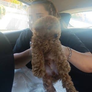 Sude T. profil fotoğrafı