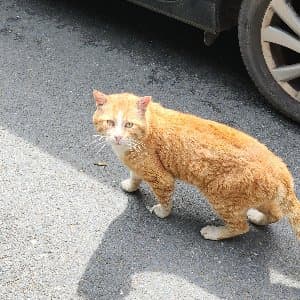 Mercan C. profil fotoğrafı