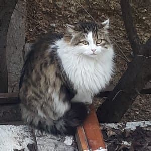 Turan U. profil fotoğrafı