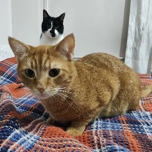 Volkan D. profil fotoğrafı