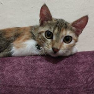 Yağmur D. profil fotoğrafı