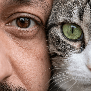 Yalçın S. profil fotoğrafı