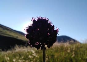 Yirmibir profil fotoğrafı