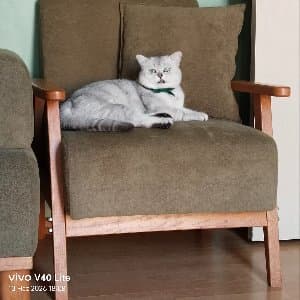 Zeynep A. profil fotoğrafı