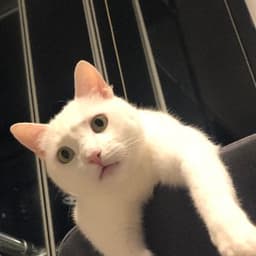 Zeynep C. profil fotoğrafı