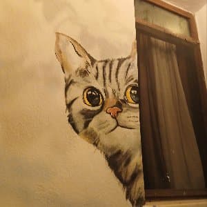 Zeynep C. profil fotoğrafı