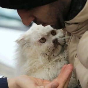 Zeynep K. profil fotoğrafı