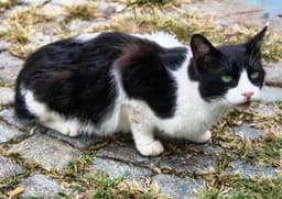 Zeynep F. profil fotoğrafı