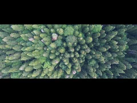 Furkan E. — video 7