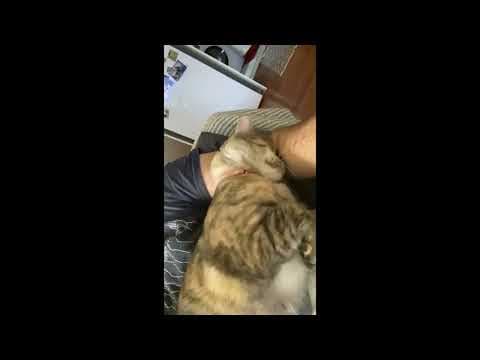 Fikri A. — video 3